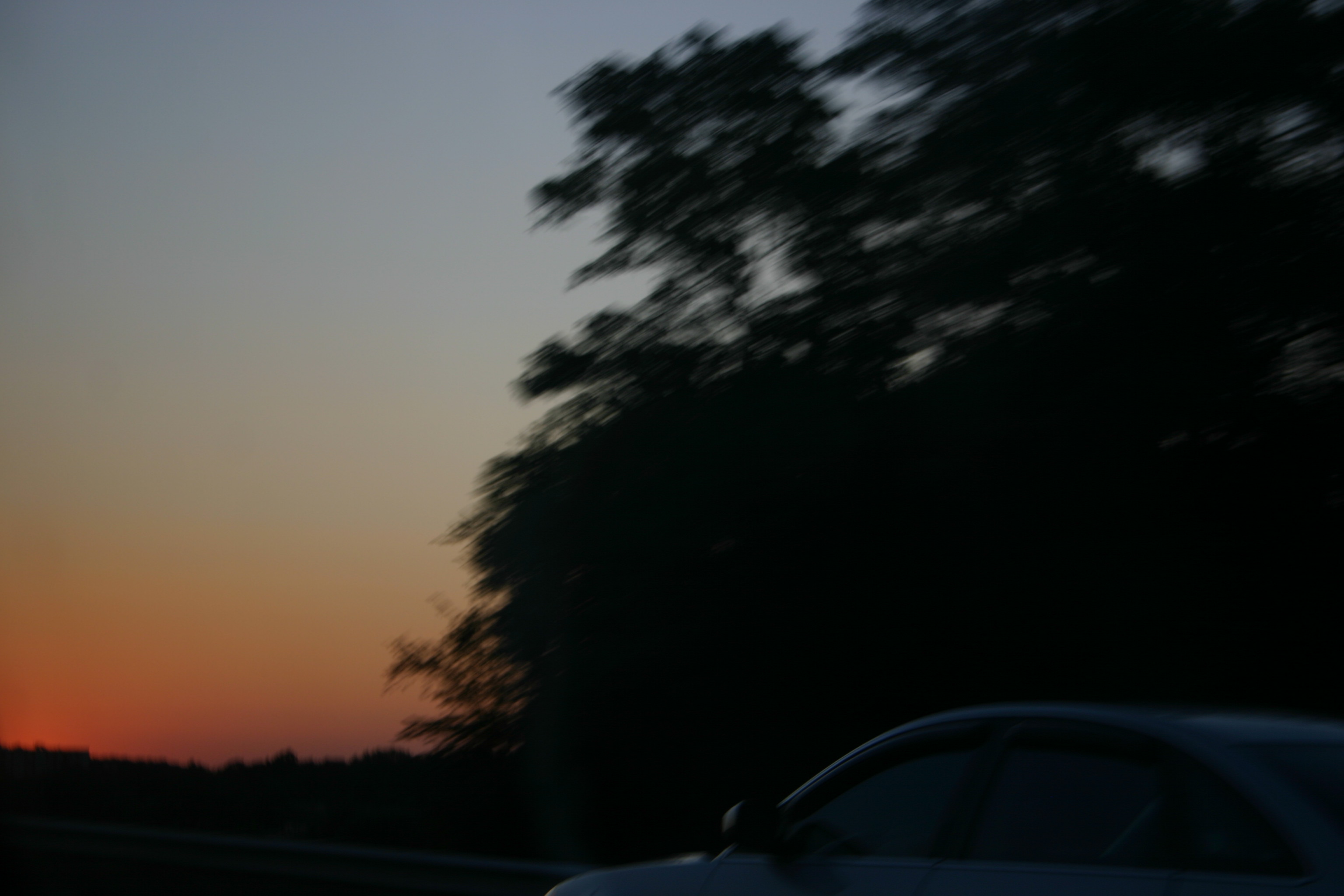 picture 19.